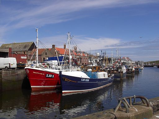 Eyemouth Harbour served by ​​​​​​​​​​​​​​​​​​Kelso​ skip Hire